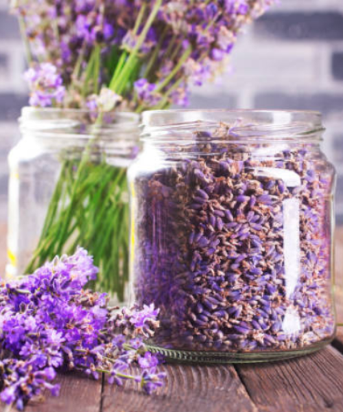 Levendula virág üvegben