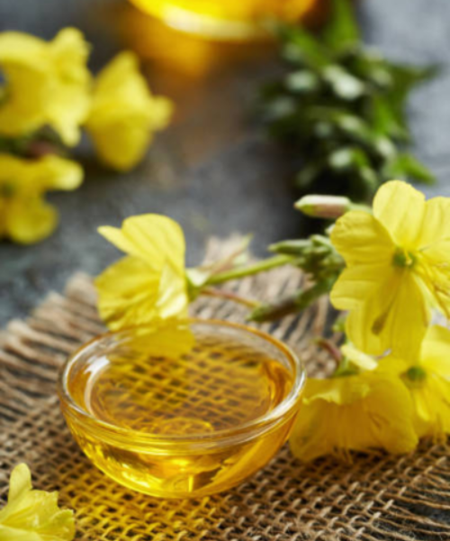 Ligetszépe virág, mellette kivonat üvegben