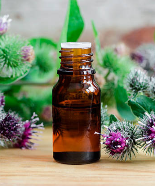 Bojtorján kivonat barna üvegcsében bojtorjánnal a háttérben