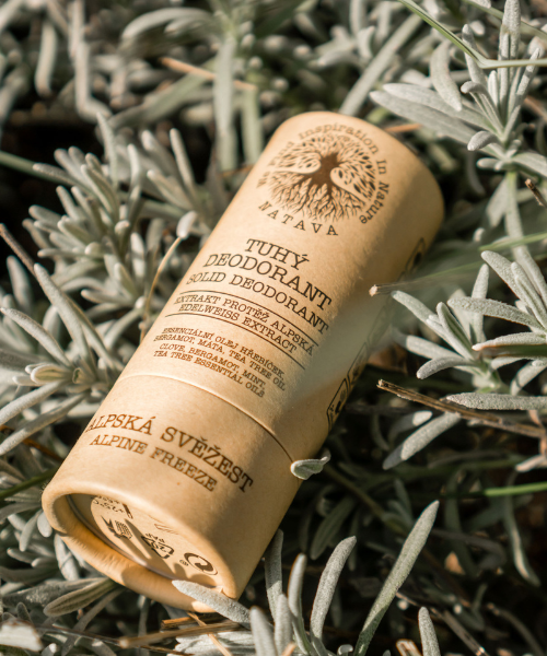 Natava alpesi szilárd dezodor fenyőágakkal a háttérben