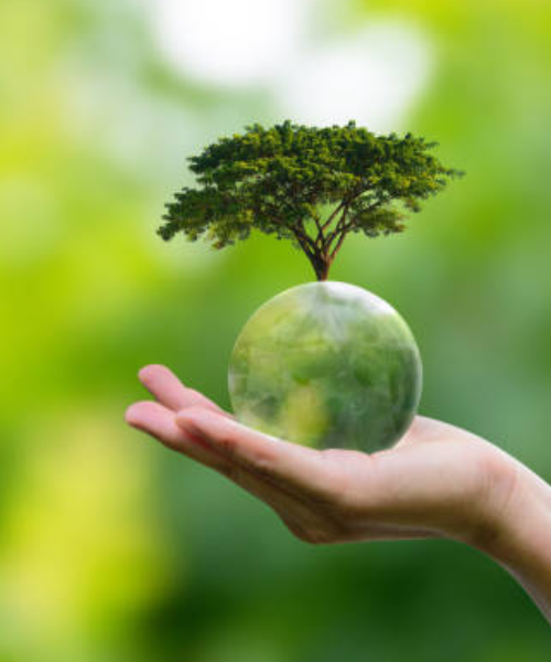 ♻️ 10 apró lépés a környezettudatosabb szépségápoláshoz