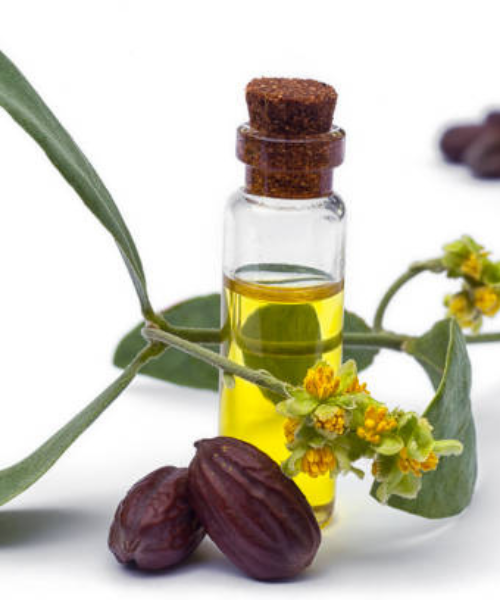 Jojoba olaj: hatása a bőrre és a hajra – ezért olyan különleges