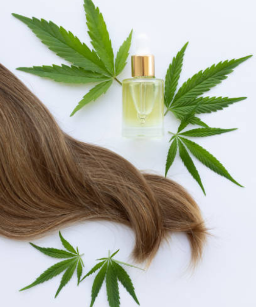 Kender levelekkel körülvett barna hajtincs