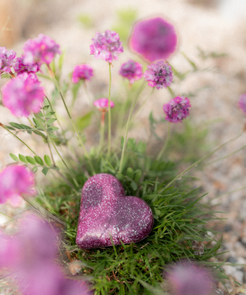 Natava szív alakú szilárd sampon ylang-ylang kivonattal